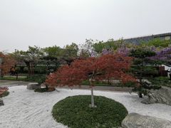 -嘉定紫藤园