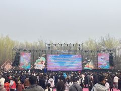 -桃花堤公园