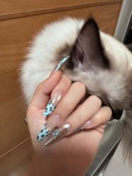 -LynLyn琳林美甲美睫