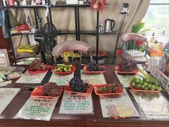 -马陆小张葡萄园农家乐