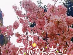 -狐尾山公园