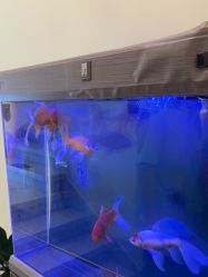 -海涛医疗美容·面部抗衰·注射美鼻