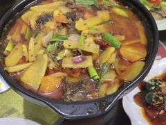 -谭家菜农夫山庄