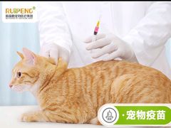 -美联众合动物医院·24h转诊中心