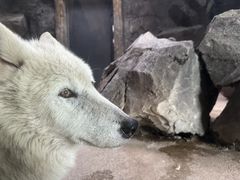-杭州野生动物世界