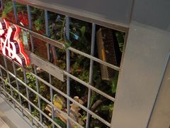 -湘当爱·鲜煮现炒(松岗立业路店)