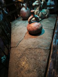 -翱翔飞越地平线