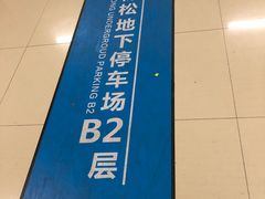 -中国人民解放军总医院(301医院)