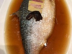 招牌中式清蒸鲥鱼-苏浙汇(古北店)