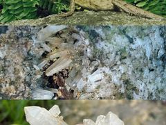 -火炉山森林公园