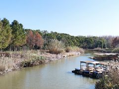 -上海长兴岛郊野公园