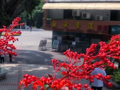 -广州市白云山风景名胜区