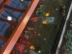 小江南(老洋桥店)-小江南(老洋桥店)