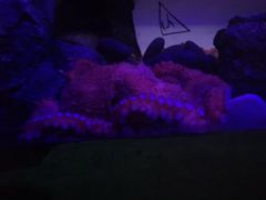 -沈阳海洋探索中心