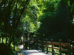 -凤栖山