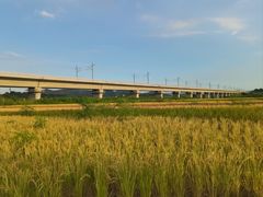 -光明小镇欢乐田园