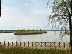 -野鸭湖国家湿地公园