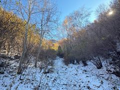 -灵山