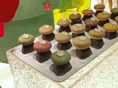 -松咖啡自助餐厅·松北香格里拉