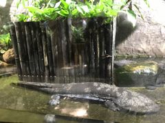 -青青世界