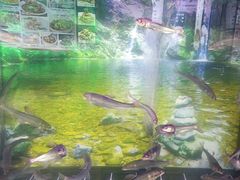 -中苑海韵