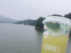 -鸡鸣赐茶(鸡鸣寺路店)