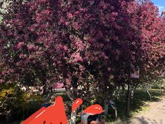 -元大都城垣遗址公园