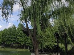 -尚贤河湿地