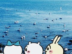 -烟墩角天鹅湖