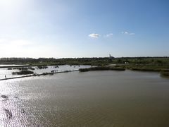 景点-盐城丹顶鹤湿地生态旅游区