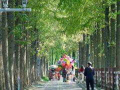 -蜀绣公园