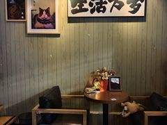 -后院儿·精酿·塔罗Happy Bar