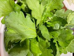 必不可少小茼蒿-小洋府铜锅涮肉(南锣鼓巷店)