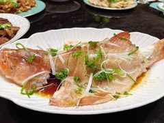 -大班家政月嫂育儿嫂(深圳NO.1店)