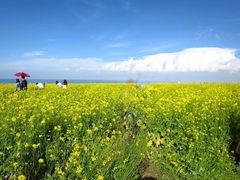 -青海湖国家重点风景名胜区