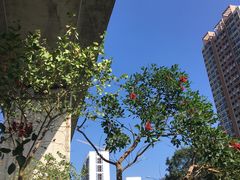 -中影南方影城嘉邻中心店