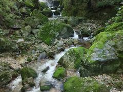 -牛背梁国家森林公园