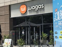 -Wagas沃歌斯(汇智店)