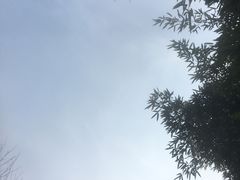 -观唐（国际）度假村温泉