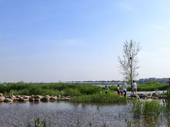 -绿堤公园