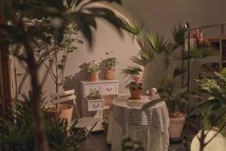 点击看大图 -芳香乐府SPA·五行芳疗