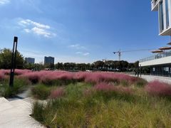 -东南大学(九龙湖校区)
