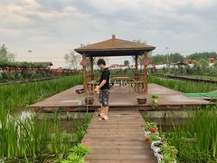 -同銮特种养殖场·龙虾垂钓