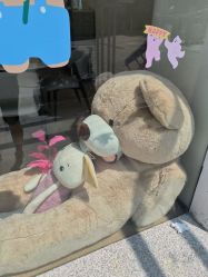 -侒悦缦月子中心·疗愈园区(龙岗店)