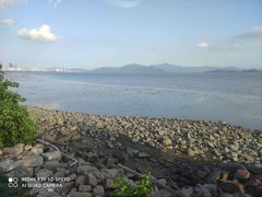 -福田红树林生态公园