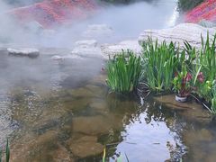 -东平国家森林公园