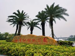 -宝安西湾红树林湿地公园