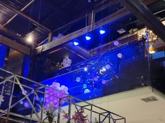 -佐度王子扒房(天鹅湖店)