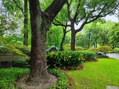 -申粤轩酒楼·三十年粤菜经典(丁香花园店)