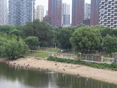 -长白岛森林公园